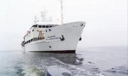 Polar “Silk Road”: The “Dragon” Conquers the Arctic