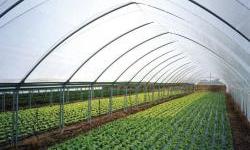 EU projekat pomaže poljoprivrednicima: Napredak, ne samo oporavak