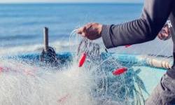 Crna Gora obezbijedila 33 miliona eura od Svjetske banke za jačanje ribarstva, poljoprivrede i otpornosti na klimatske promjene