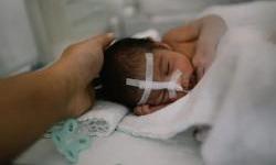 So Small They Could Fit Inside a Heart