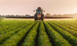 Ukraine: EIB supports the modernisation of agriculture with USD 120 million
