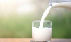AASF program supports dairy sector expansion in Albania