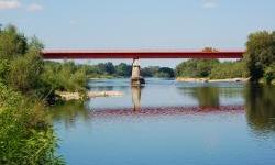 Ekosistem reke Morave plaća cenu izgradnje Koridora 11