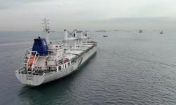 Ugovor o izvozu žita preko crnomorskih luka produžen za dva mjeseca
