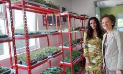 OSCE Mission to Montenegro supports SOS Helpline introduce microgreen farming as an occupational therapy for the women survivors of gender-based violence