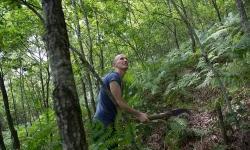More Prosperous and Sustainable Forests and Pastures in Rural Albania
