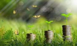 Croatia to allocate EUR 652 million for green transition in 2025