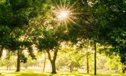 Green Agenda Drives Change in Balkans