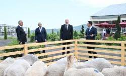 Azerbaijan-Russia feud: back on front-burner