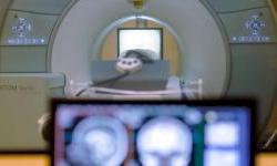 EU shuts out Chinese medical suppliers from European market in retaliatory trade move
