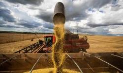 Russia supplies 70 countries with grain stolen from Ukraine