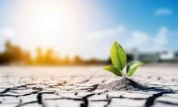 FAO Albania launches landmark assessment on gender equality monitoring in landownership-related policies