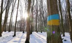 Attrition is not defeat: why Ukraine is not “losing” the war