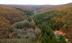 From Nature to Livelihoods: Why Kosovo’s Forests Matter for All