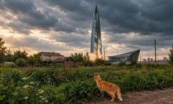 Russian companies moving from Moscow, mostly east