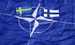 NATO Countries Begin Ushering Finland and Sweden Into the Fold