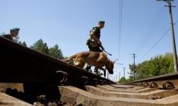 Ruski partizani pale vojne registre i sabotiraju pruge