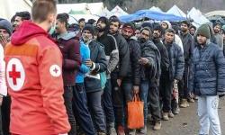 EU će izdvojiti pola miliona evra za readmisiju ilegalnih migranata iz BiH