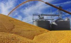 How much grain has been shipped from Ukraine?