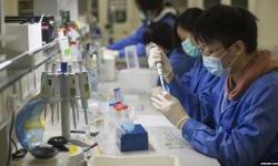 Under Investigation Abroad, Chinese Gene Giant Expands In Serbia