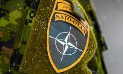 Fact check: Russia's disinformation campaign targets NATO