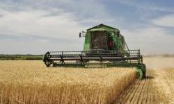 Šta će se dogoditi ako Rusija blokira ugovor sa Ukrajinom o izvozu žita?