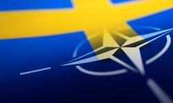 What can Sweden contribute to NATO?
