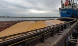 Uska grla na alternativnim pravcima za izvoz ukrajinskog žita