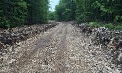 Croatian forests ensured the construction of 10 km of new forest roads through EU funds