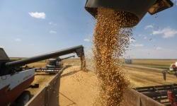 Russian Disinformation on Grain Crisis in Europe