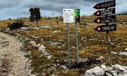 Completed demining works according to the Croatian safe steps project