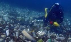 Plastic Reduction Project Focuses on Croatian Adriatic