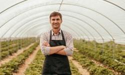 EBRD launches EU-backed guarantees to support Moldovan businesses