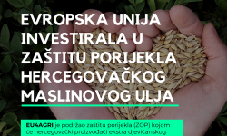 Evropska unija investirala u zaštitu porijekla hercegovačkog maslinovog ulja