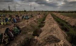 Ukraine: Alarming Rise in Executions of Captured Ukrainian Military Personnel