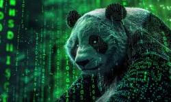 Belgium probes if Chinese hackers breached its intelligence service