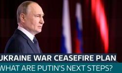 A 30-Day Ceasefire: What Can Putin Do?